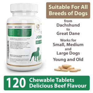 glucosamine and chondroitin for dogs