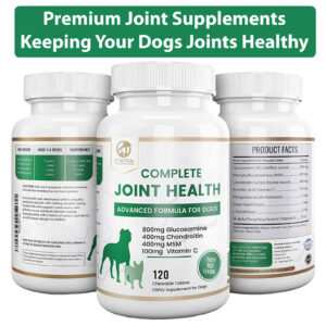 glucosamine and chondroitin for dogs