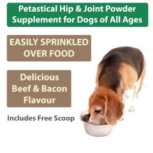 Powder Glucosamine Supplement For Dogs