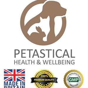 Petastical Health and Wellbeing