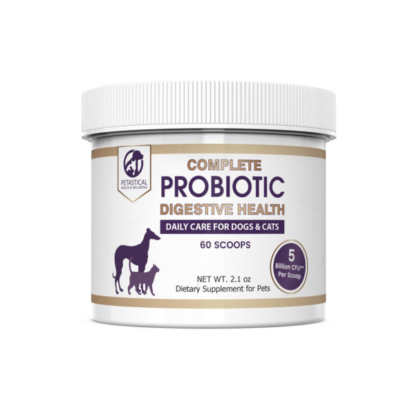 Probiotic 60 scoop