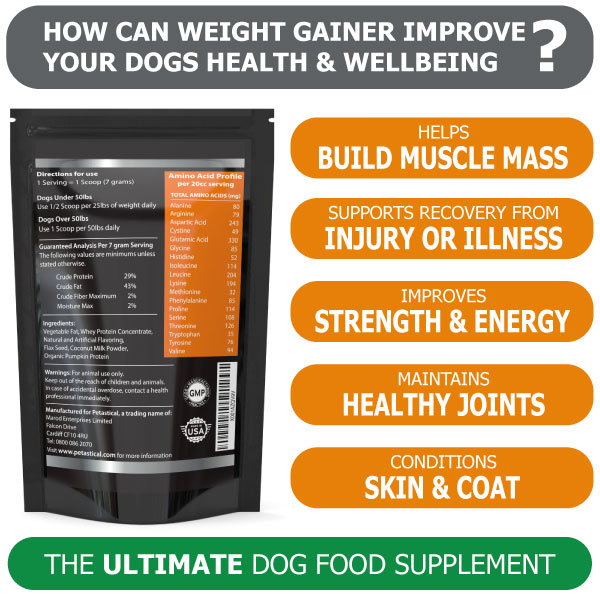 Weight Gain for Dogs