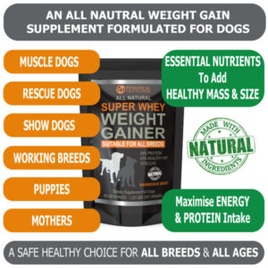Weight Gain for Dogs