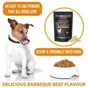 Weight Gain for Dogs